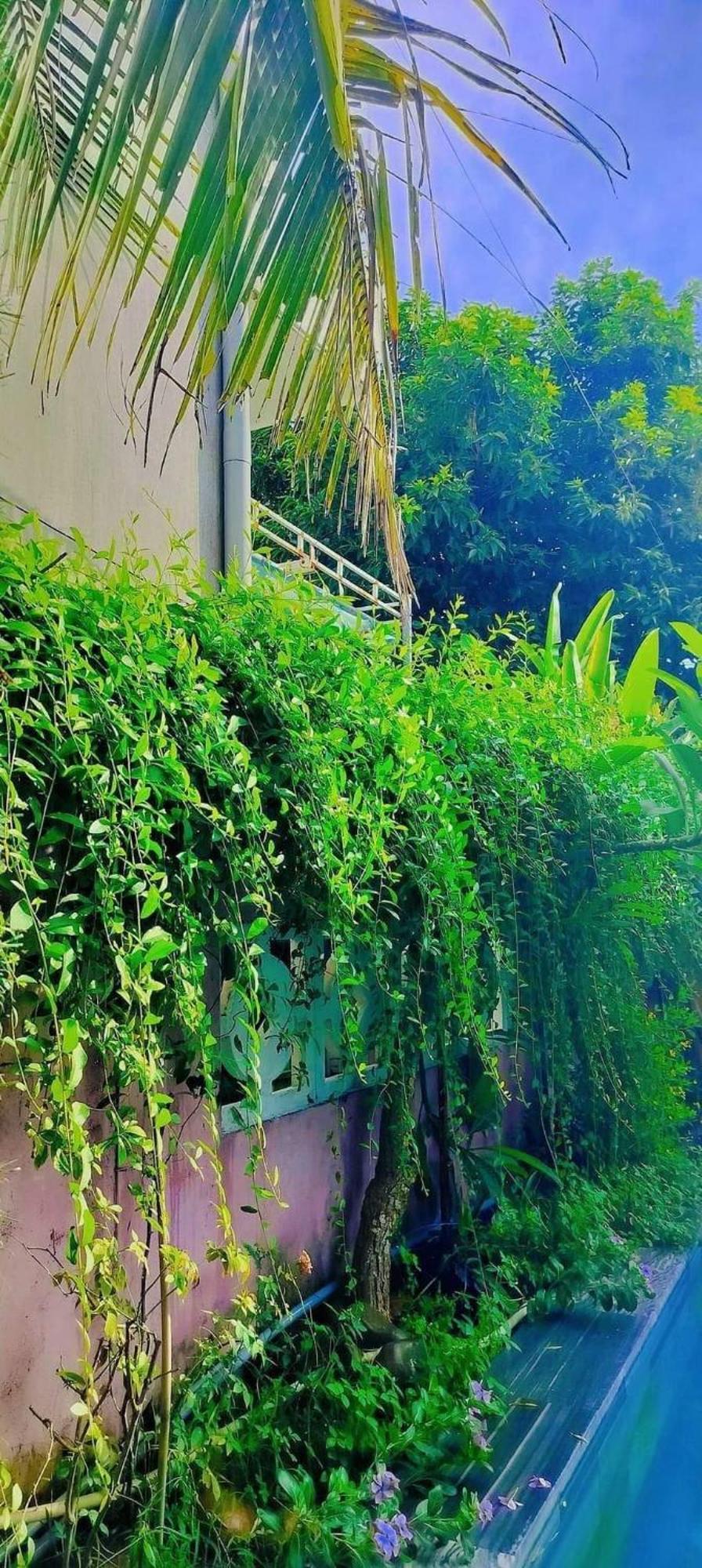 Hoi An Mountain House Villa Luaran gambar